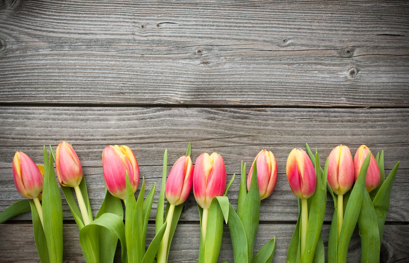Banner paasbrunch